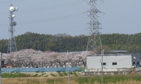 概要