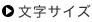 文字サイズ